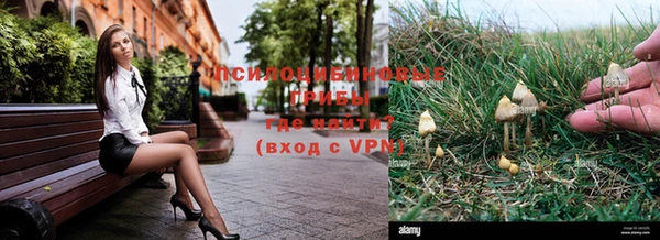 прущие крисы Корсаков