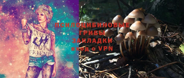 СК Кукмор